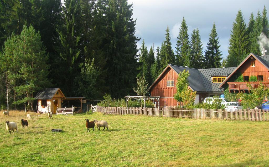 Ubytovani Na Slucim Tahu Prasily Exterior photo